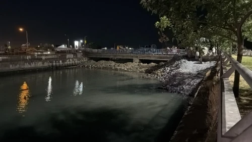 Bakırköy'de ölü balıklar korkuttu
