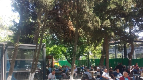 Beylikdüzü’nde sosyal belediyeciliğin yeni Adresi: Yaşam Cafe-B hizmete hazırlanıyor