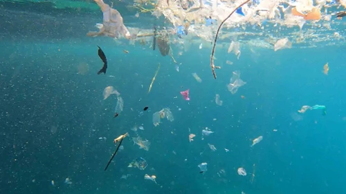 Akdeniz'deki mikroplastik sorunu çözülmezse turizm sekteye uğrar