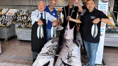Balıkçı Kenan'da dev kılıç balığı var