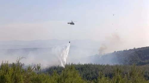 Çanakkale'deki orman yangınında 8 hektar alan zarar gördü