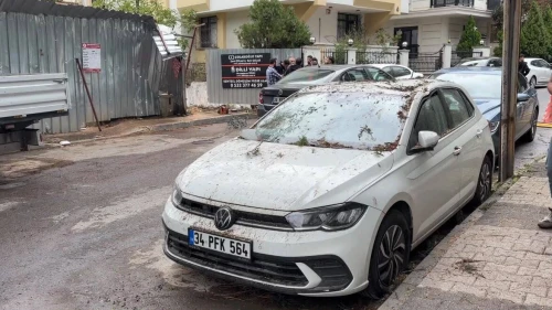 Maltepe’de kesilen ağaç 2 otomobilin üzerine devrildi