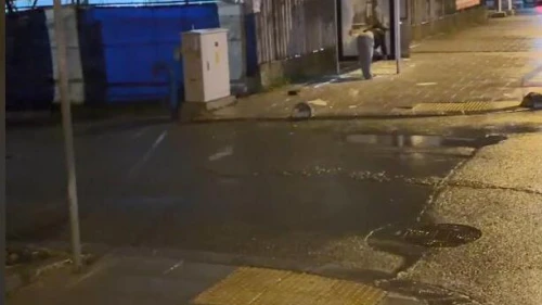 Arnavutköy'de otobüs durağının camını taşla kırdı