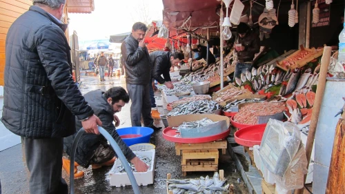 Karaburun'da palamut çok