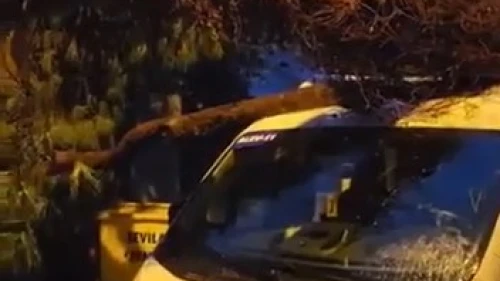 Kadıköy’de öğrenci almak için bekleyen servis minibüsünün üzerine ağaç devrildi