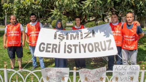 Ağaç AŞ işçileri kazandı