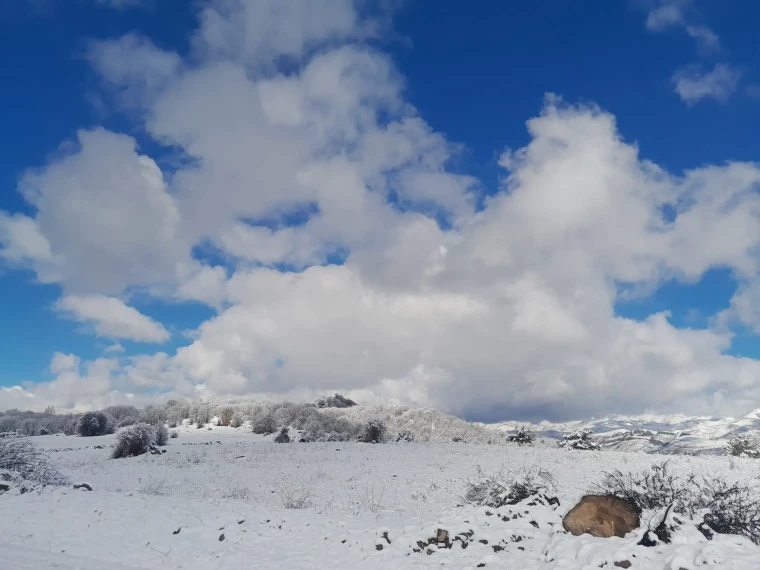 Doğu Karadeniz’de nisan ayında kar yağdı 4