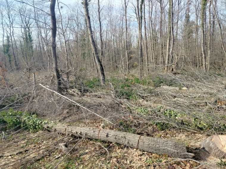 Silivri'nin içine ettiniz!