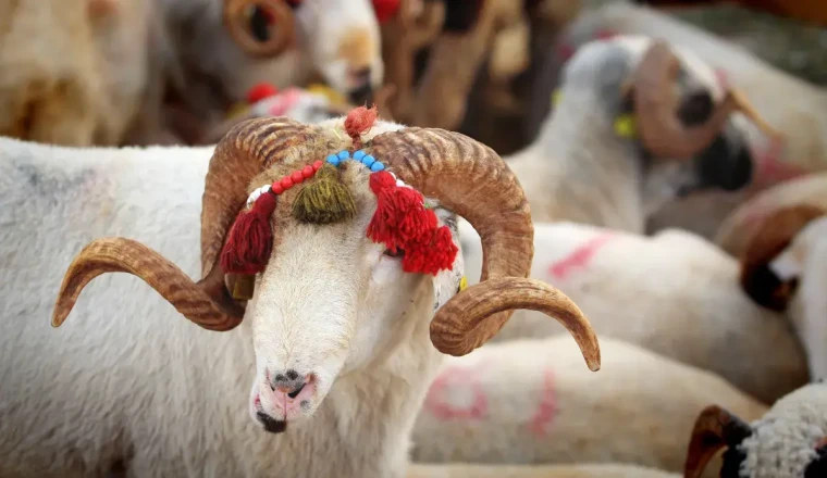 Bayram temennisi