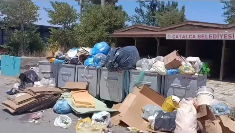 Çöp gibi sorun sinek gibi derdimiz var!