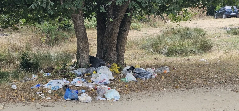 Gelmeyin kardeşim gelmeyin!