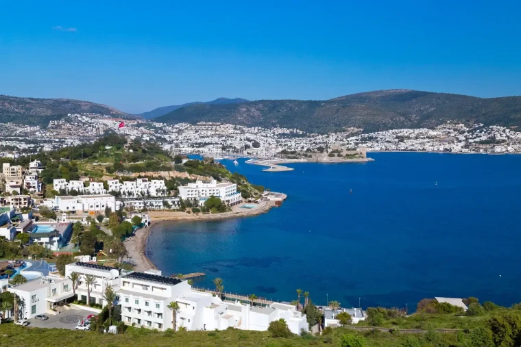 Güneşin doğuşu ve zeytin ağaçlarının gölgesinde Gündoğan