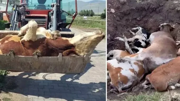 Enerji ve sağlığın kesiştiği nokta