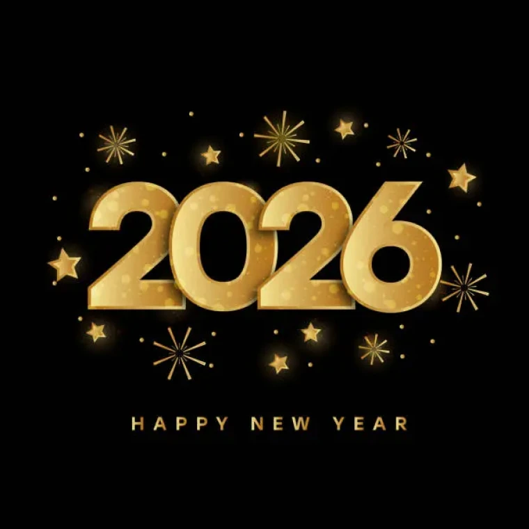 Bir yılın ardından