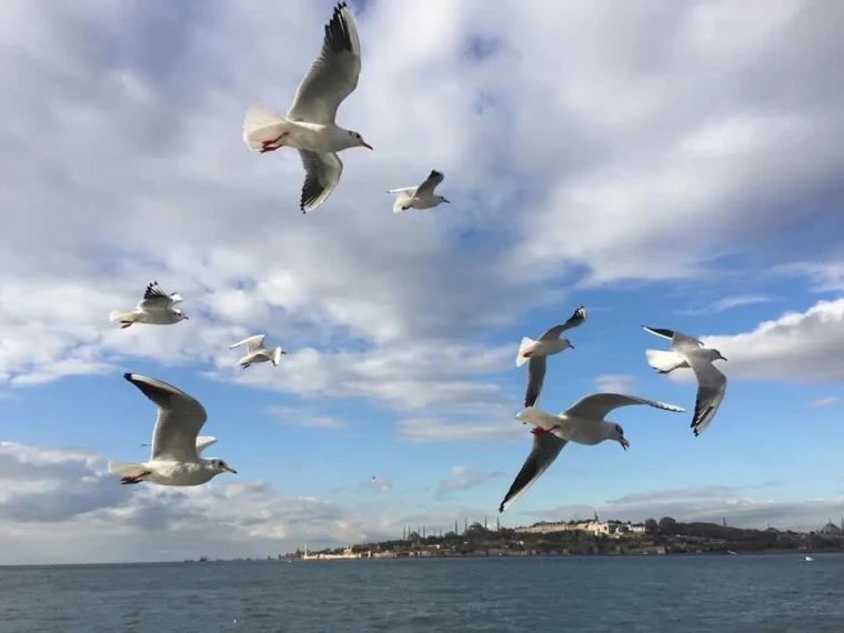 Bayramda İstanbul