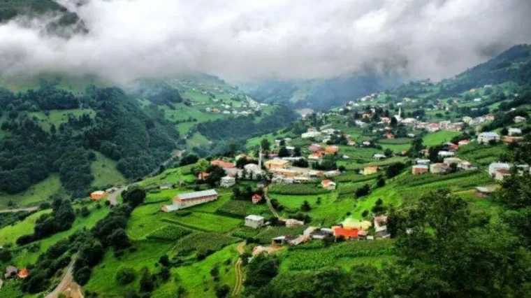 Şehir yorar köy iyileştirir