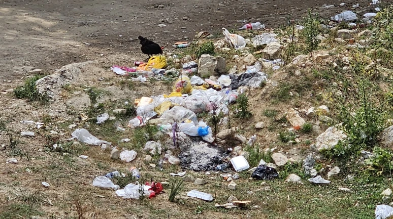 Piknik değil rezalet!