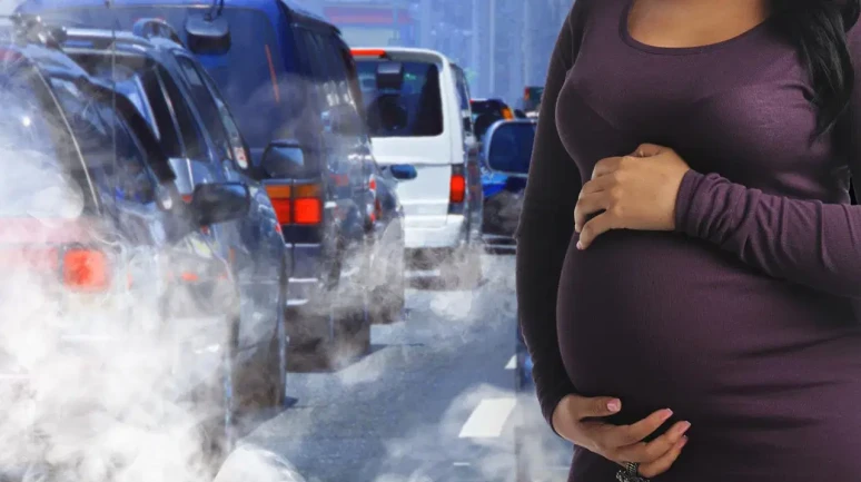 Hava kirliliği üremeyi etkiliyor