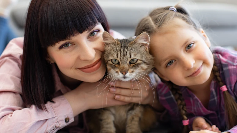 Kedileri seviyoruz: Hayvanlar hastaların ruh hâline olumlu katkı sağlıyor