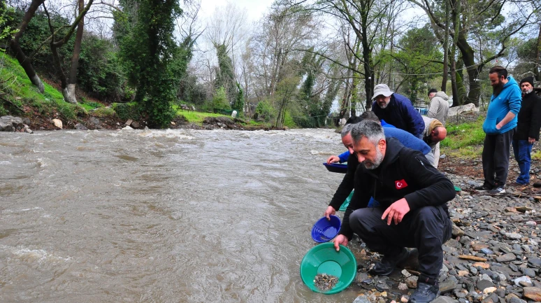 Sosyal medyada toplanan altın avcıları, yağışa rağmen İzmir'de derede altın aradı