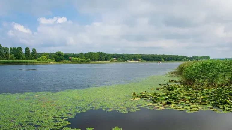 Bayramı Çatalca'da geçirmeye ne dersiniz?