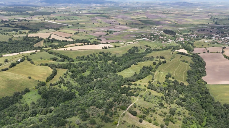 2B arazilerinde yeni karar
