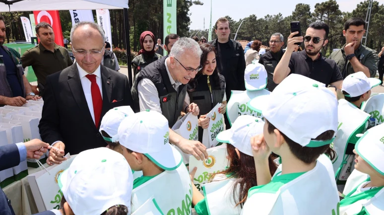 İstanbul'da ormanlar temizlendi