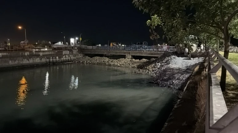 Bakırköy'de ölü balıklar korkuttu