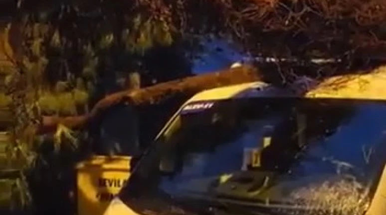 Kadıköy’de öğrenci almak için bekleyen servis minibüsünün üzerine ağaç devrildi